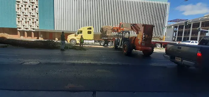 La Villa Mobile Home Park Picture 2