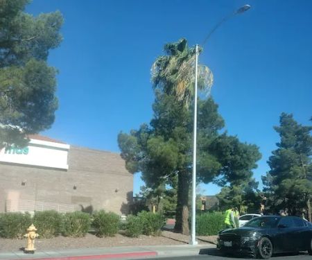 Arrow Palms Mobile Home Park