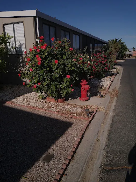 Villa Borega Picture 5