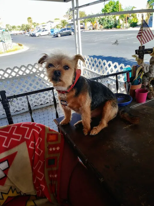 Desert Mobile Home Park Picture 2