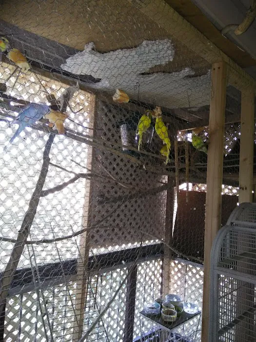 Desert Mobile Home Park Picture 5