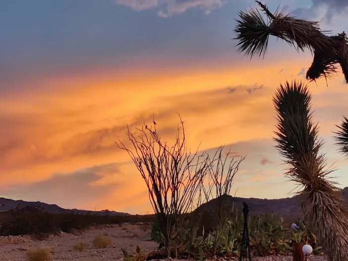 Lake Mead RV Village Picture 1