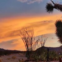 Lake Mead RV Village ico