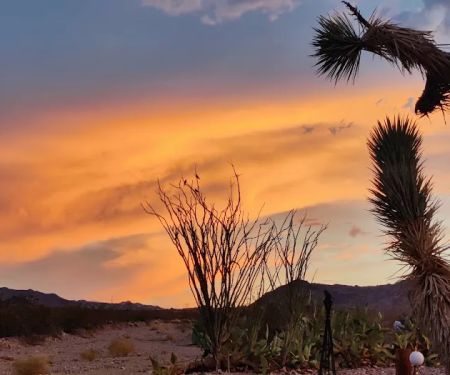 Lake Mead RV Village