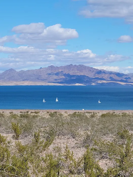 Lake Mead RV Village Picture 3