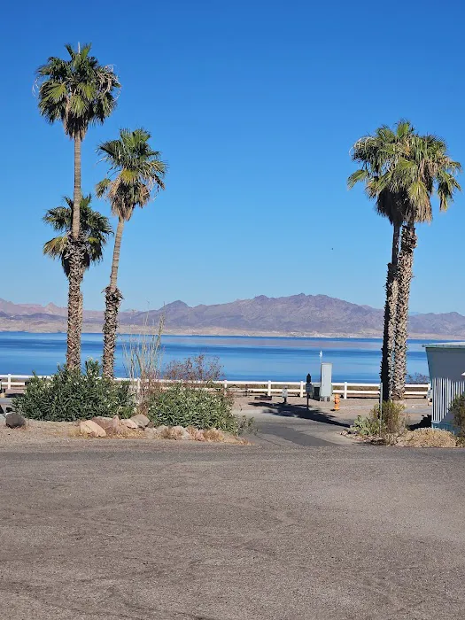 Lake Mead RV Village Picture 8
