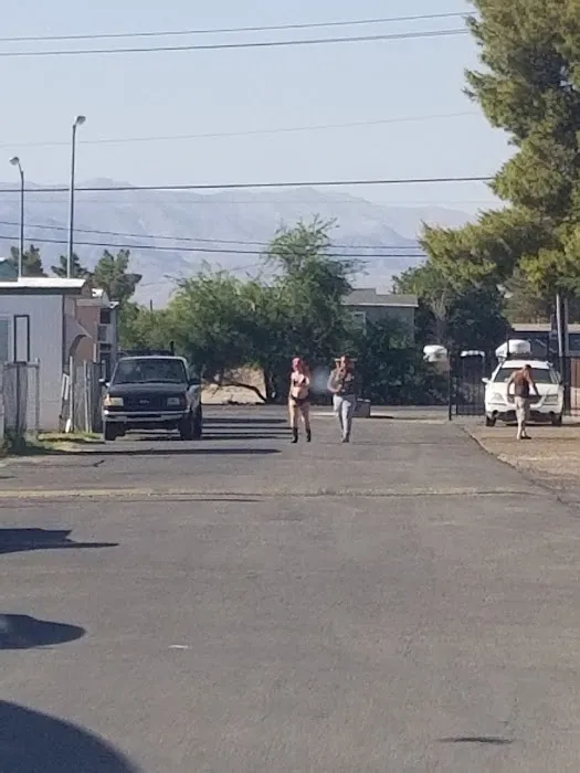 Las Vegas Mobile Park Picture 1