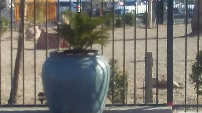 Las Vegas Mobile Park Picture 4