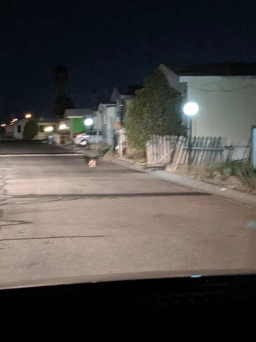 Santiago Manufactured Home Park Picture 9