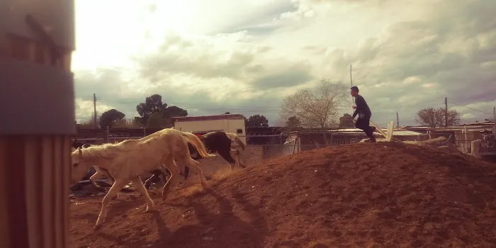 Santiago Manufactured Home Park Picture 5