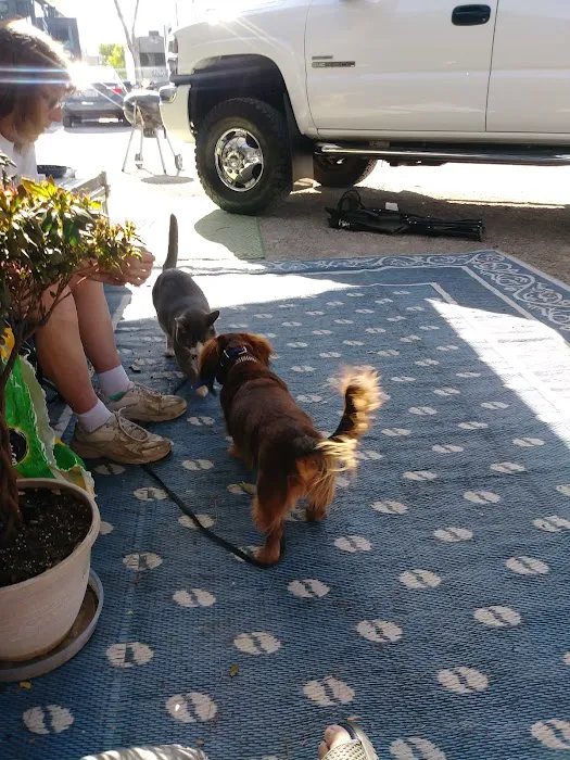 Hitchin' Post RV Park & Motel Picture 8