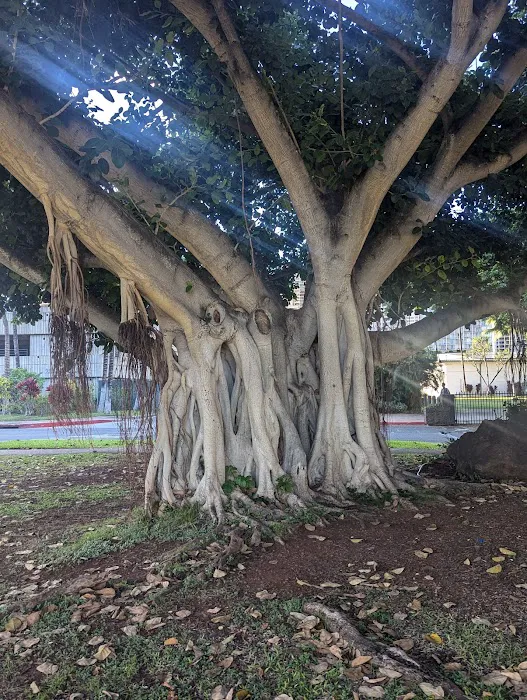 Storeyville Mobile Home Resort Picture 5