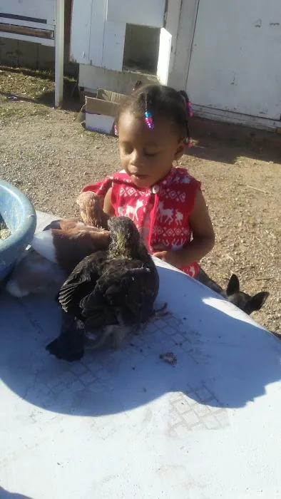 BlueBird Mobile Home Park Picture 1