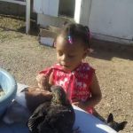 BlueBird Mobile Home Park