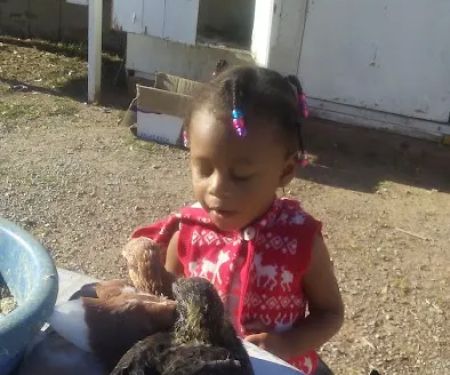 BlueBird Mobile Home Park