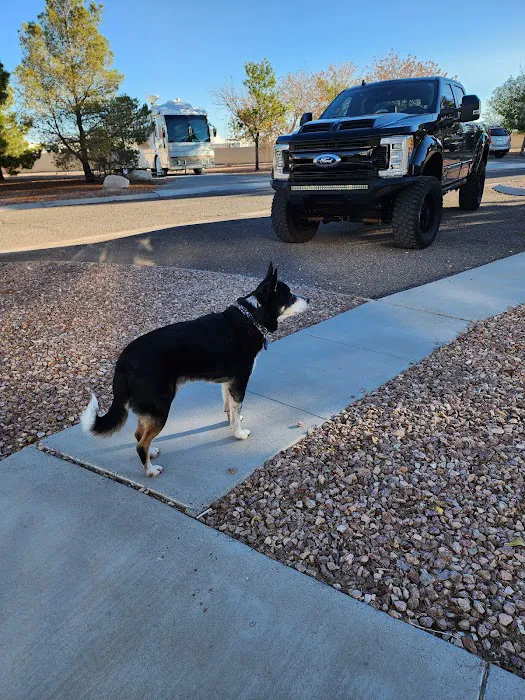 Desert Eagle RV Park on Nellis AFB Picture 1