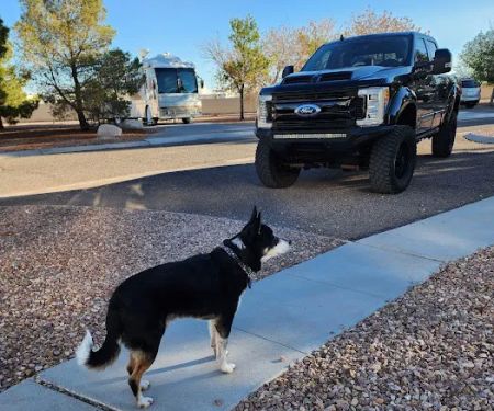 Desert Eagle RV Park on Nellis AFB