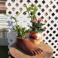 Greenspot MH Village ico