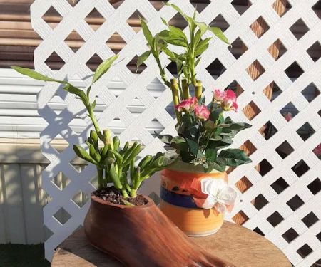 Greenspot MH Village