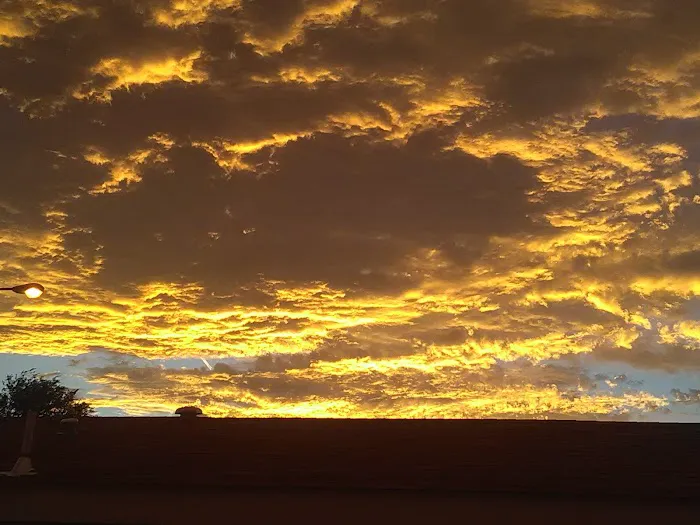 Aloha Vegas Community Picture 9