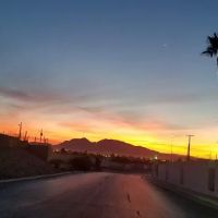 Aloha Vegas Community ico