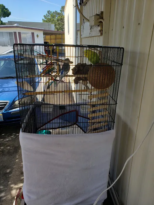 Capri Mobile Park Picture 7