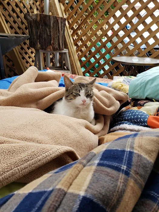 Capri Mobile Park Picture 9