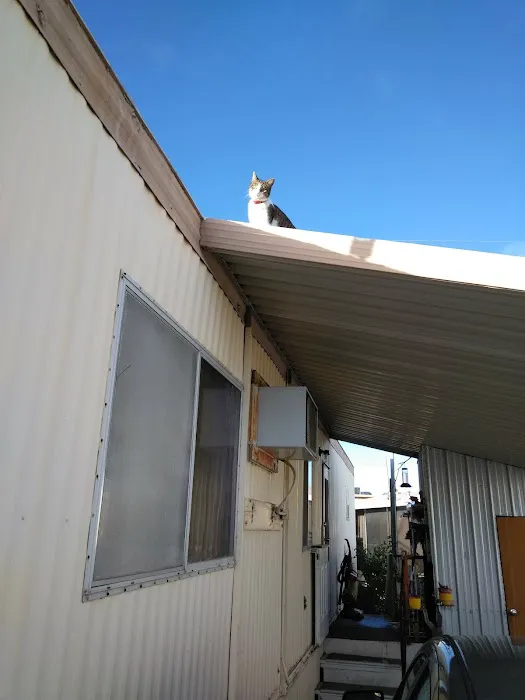 Capri Mobile Park Picture 3