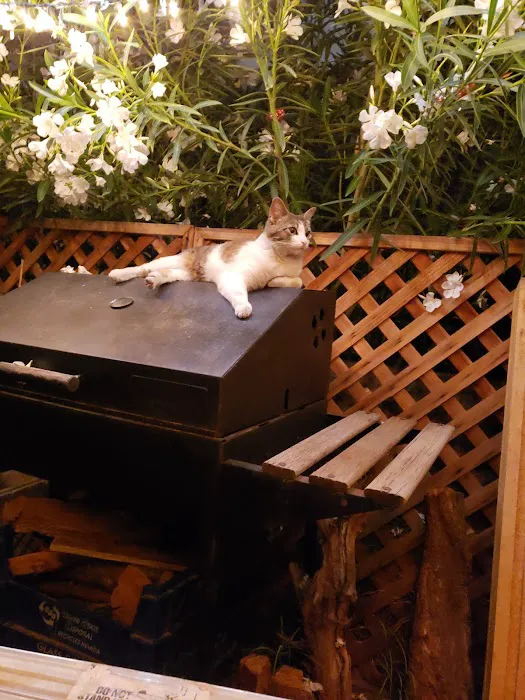 Capri Mobile Park Picture 6