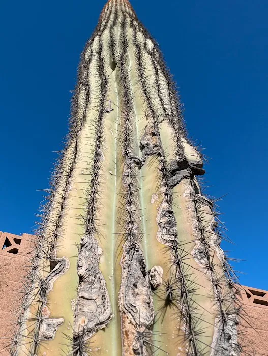 Flamingo West Picture 9