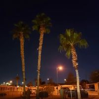 Paradise Trails Mobile Home Pk ico