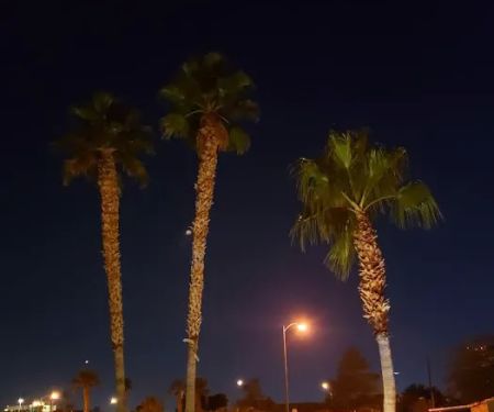 Paradise Trails Mobile Home Pk