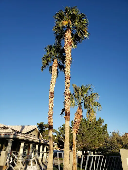 Paradise Trails Mobile Home Pk Picture 3