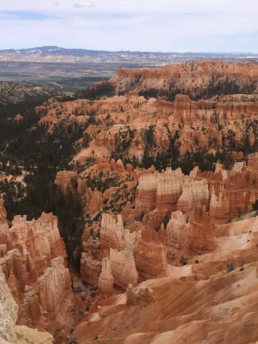 Paradise Trails Mobile Home Pk Picture 8