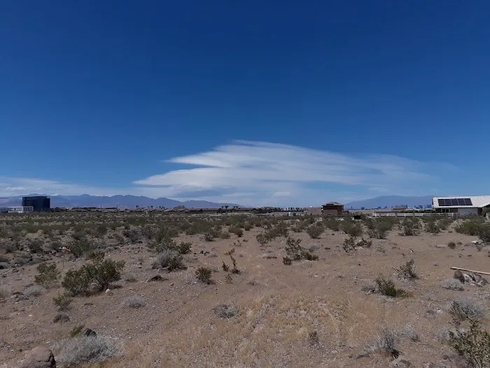 Bermuda Palms RV Park Picture 9