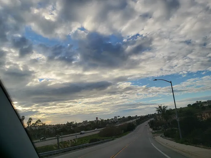 Bermuda Palms RV Park Picture 3