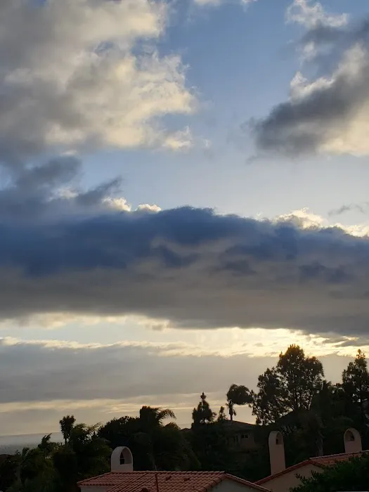 Bermuda Palms RV Park Picture 2