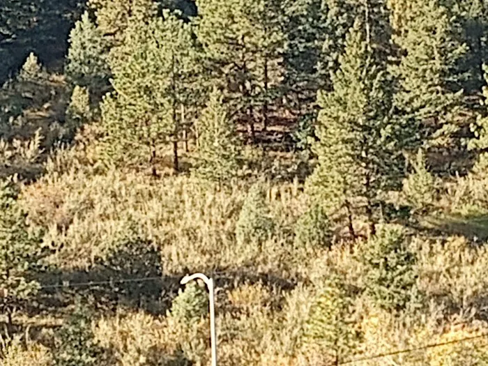 Bermuda Palms RV Park Picture 10