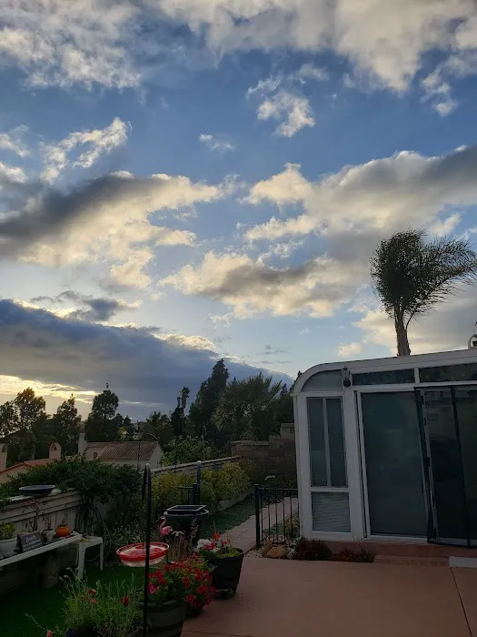 Bermuda Palms RV Park Picture 4