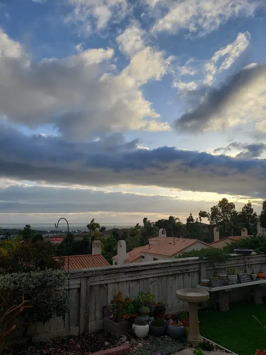 Bermuda Palms RV Park Picture 5