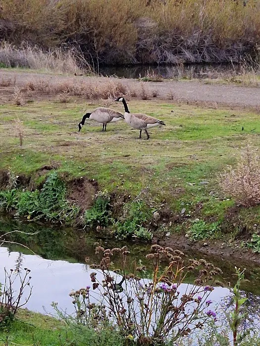 Bonnie View Park Picture 5