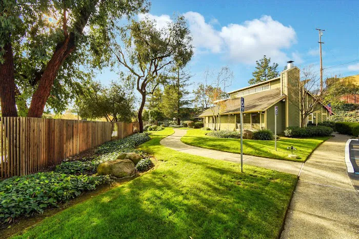 Timber Cove Picture 2