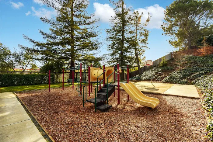 Timber Cove Picture 3