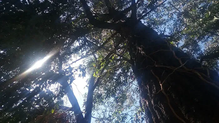 Timber Cove Picture 5