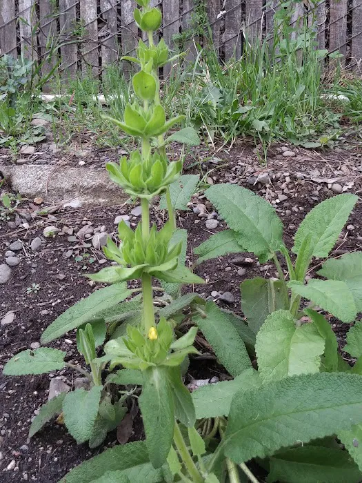 Timber Cove Picture 9