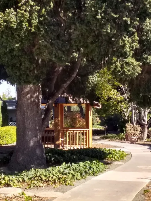 Paseo de Palomas Picture 9