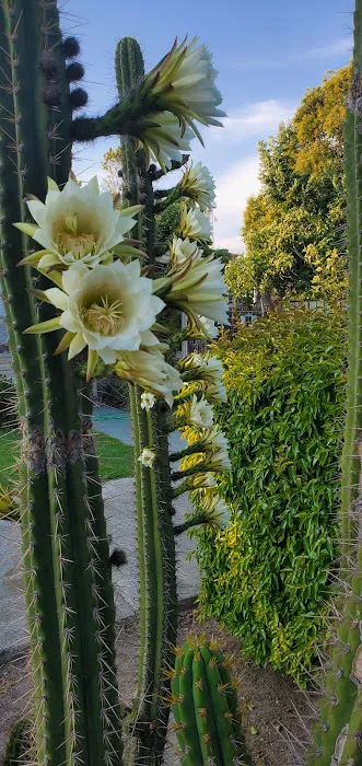 Quail Hollow Picture 9