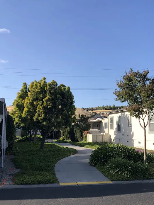 Mountain Shadows Mobile Home Park Picture 3