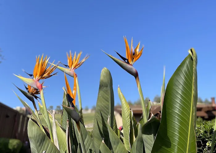 Mountain Springs Mobile Home Park Picture 4