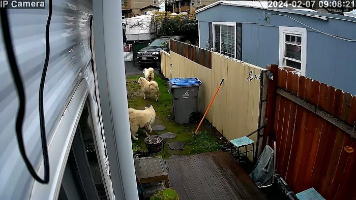 Western Trailer Park Picture 4